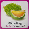 Từ Điển Bằng Hình Đầu Tiên Của Bé Trái Cây 0–6 Tuổi