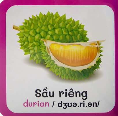 Từ Điển Bằng Hình Đầu Tiên Của Bé Trái Cây 0–6 Tuổi