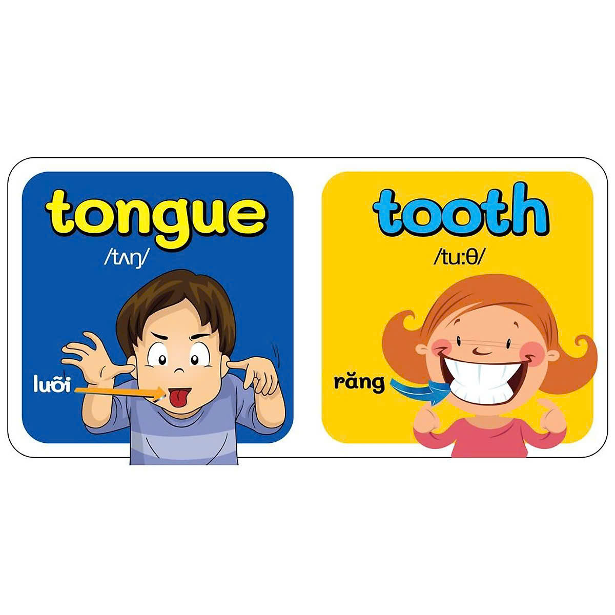 Từ Điển Bằng Hình Đầu Tiên Của Bé My Body 0–6 Tuổi