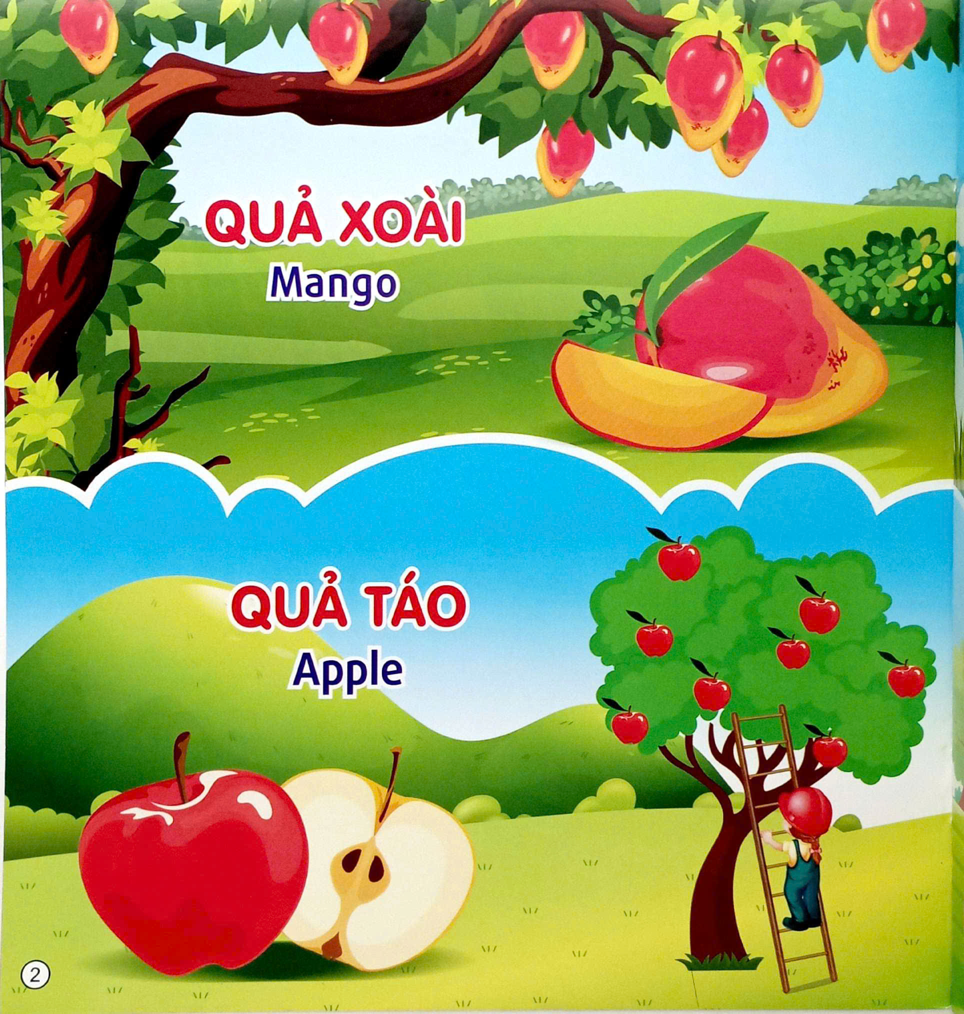 Sách Nhận Biết Trái Cây Cho Bé Học Tiếng Anh