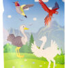 Sticker Dán Hình Thông Minh World Animal 1 Chủ Đề Loài Chim